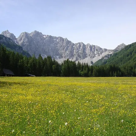 Mostecky Apartment *