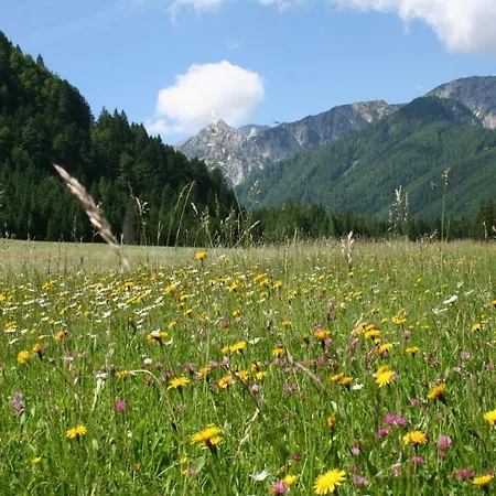Appartement Mostecky Ferlach