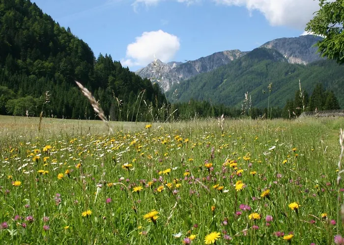 Lägenhet Mostecky Ferlach